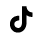 Tiktok icon